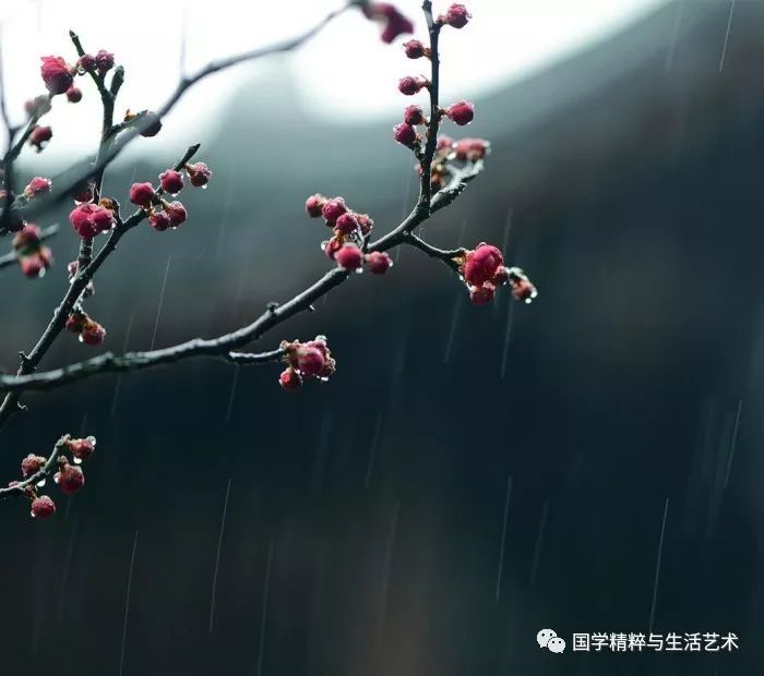 好雨飘落在鲜鲜的春天